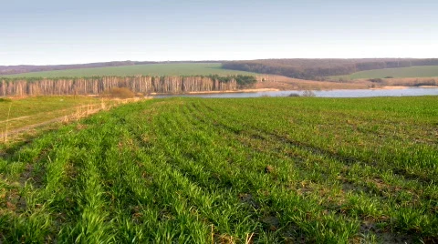 Spring scenery Video stock 367171