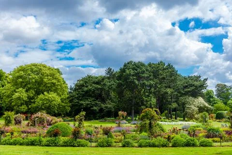 Spring scenery from park Stock Photos