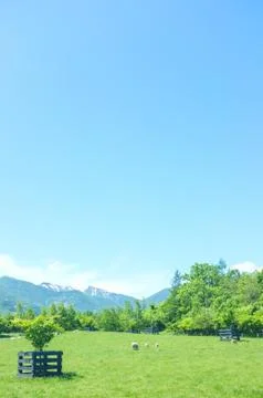 Spring Scenery Stock Photos