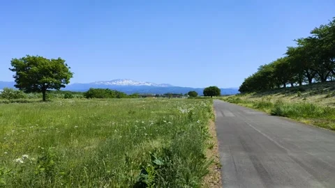 Spring scenery with remaining snow on Mt. Gassan, Yamagata prefecture, Japan Stock Footage 305359496