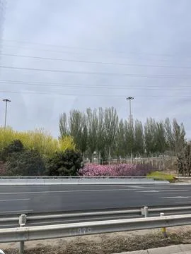 Spring Scenery Viewed from Bus Window Foto stock