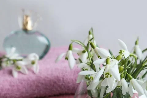 Spring scents: Stock Photos