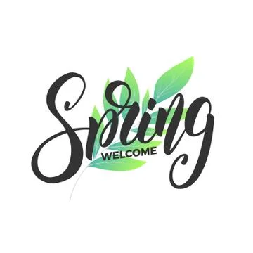 Spring. Script lettering Spring and fresh leaves. Card for seasonal promo, sale Illustrazione stock