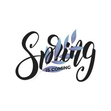 Spring. Script lettering Spring and fresh leaves. Card for seasonal promo, sale Stock Illustration