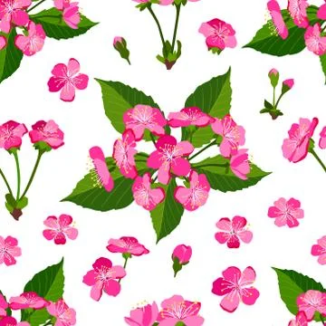 Spring seamless pattern background with cherry flowers Illustrazione stock