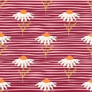 Spring seamless pattern with cute white daisy flowers print. Pink striped bac Stock Illustration