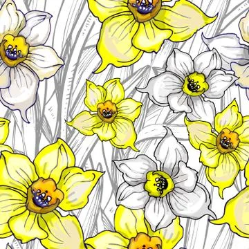 Spring seamless pattern with flowers of Narcissus, Daffodils, jonquil. Stock Illustration