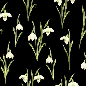 Spring seamless pattern of Galanthus flowers. Stock Illustration