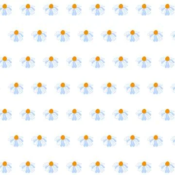 Spring seamless pattern meadow daisies white Summer template Blooming wildflower Stock Illustration