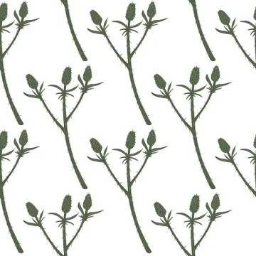 Spring seamless pattern with thorn twigs silhouettes. Green branches on white Illustrazione stock