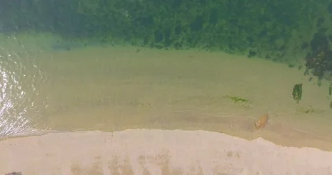 Spring seaside scenery of Binhai Road in Dalian, Liaoning province, China Stock Footage 241405405