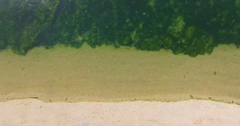 Spring seaside scenery of Binhai Road in Dalian, Liaoning province, China Vídeo Stock 241405732