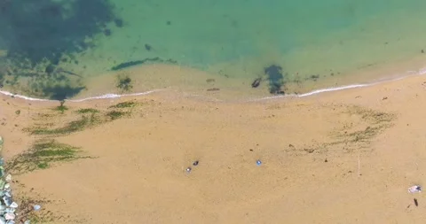 Spring seaside scenery of Binhai Road in Dalian, Liaoning province, China Stock Footage 241406872