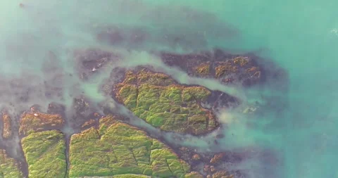 Spring seaside scenery of Binhai Road in Dalian, Liaoning province, China Stock Footage 241407280