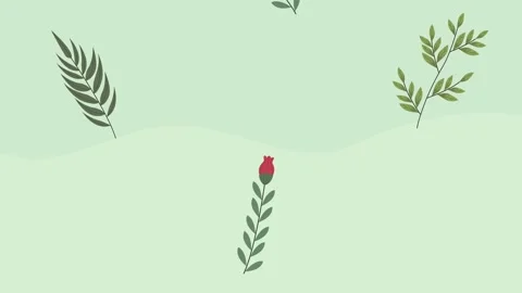 Spring season animation with floral pattern Stock Footage 171430920