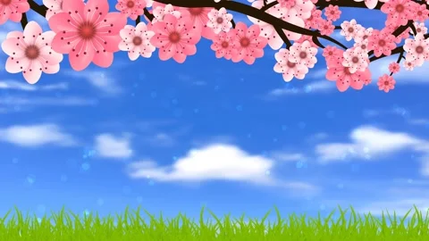 spring season animation with pink flower... | Stock Video | Pond5