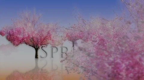 Spring Season blooming trees Stock Footage 1086603
