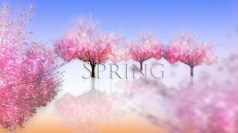 Spring Season blooming trees Stock Footage 1088260