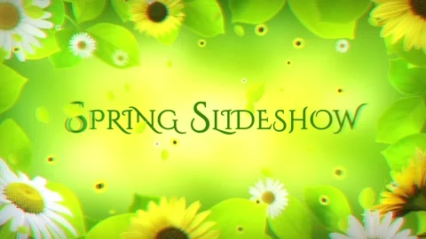 Spring Season Slideshow Stock After Effects