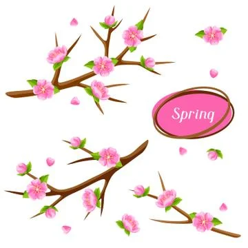 Spring set with branches of tree and sakura flowers. Seasonal illustration Stock Illustration