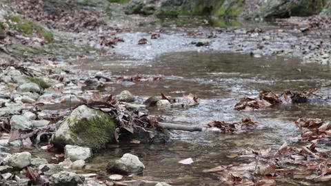 Spring, shallow riverbed with rocky bottom, small water flow Stock Footage 305621315