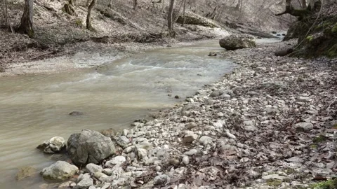 Spring, shallow riverbed with rocky bottom, small water flow Stock Footage 308849051