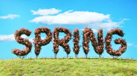 SPRING-shaped shrubs covered with spring flowers on meadow 3D rendering of... Stock Photos