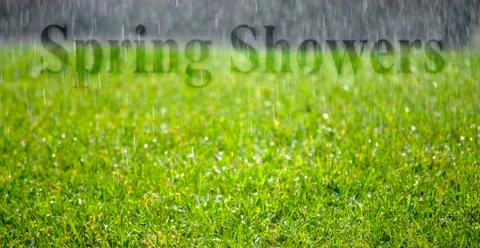 Spring Shower on Green Grass Stock Photos