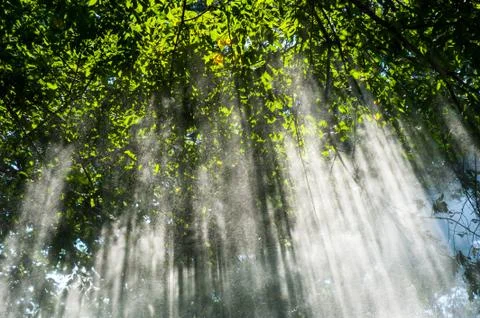 Spring shower sunbeams Stock Photos