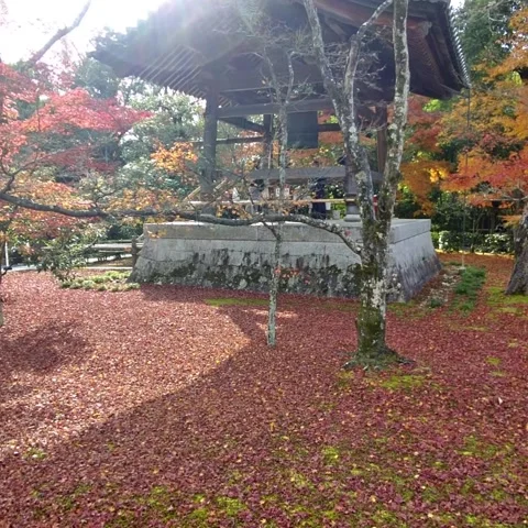 Spring Shrine Stock Footage 236265875
