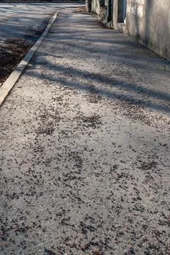 Spring sidewalk covered with winter traction gravel Stock Photos