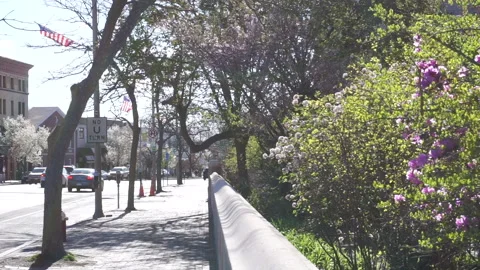 SPRING SIDEWALK Stock Footage 194022789