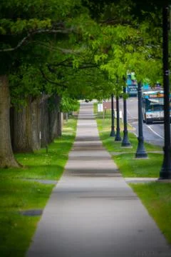 Spring Sidewalk with Lampposts Stock Photos