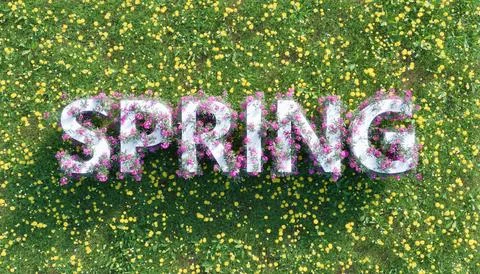 Spring sign with flowers over a field full of flowers Illustrazione stock