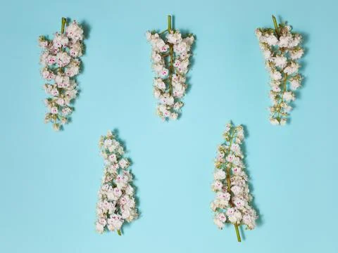 Spring simple background with chestnut flowers Stock Photos