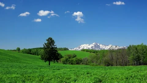 Spring, a Single Tree, and the Yubari Mountains Video stock 332267442