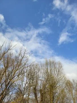 Spring Sky With Clouds Above Bare Trees Stock Photos