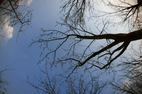 Spring sky Stock Photos