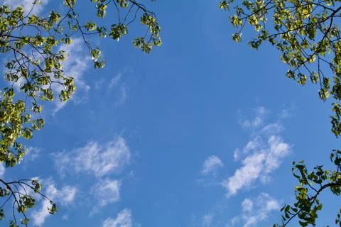 Spring Sky Portrait Stock Photos