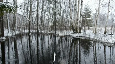 Spring sleet on the pond water and umbrella Stock Footage 10863601