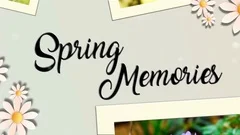 Spring Slideshow 2017 Stock After Effects