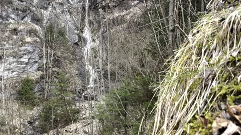 Spring small waterfall from rocks in the mountains, no leaves on trees, partly Stock Footage 306287611