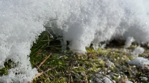 Spring. Snow and grass Video stock 171798511