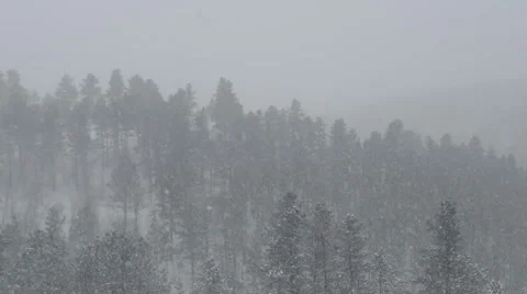 Spring Snow in the Black Hills Stock Footage 54751649