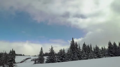 Spring Snow Cloud Forest Timelapse Stock Footage 22314608