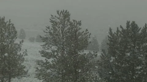 Spring Snow Stock Footage 54758116