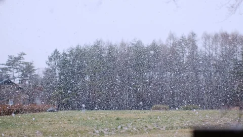 Spring snow heavy snow Stock Footage 128470376