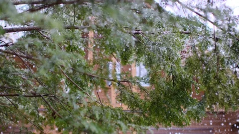 Spring snow heavy snow 動画素材 128470554