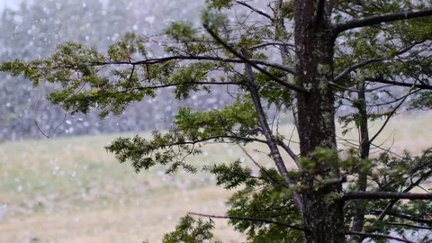Spring snow heavy snow slow motion shooting Stock Footage 128470080