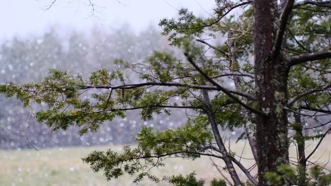 Spring snow heavy snow slow motion shooting Stock Footage 128470144